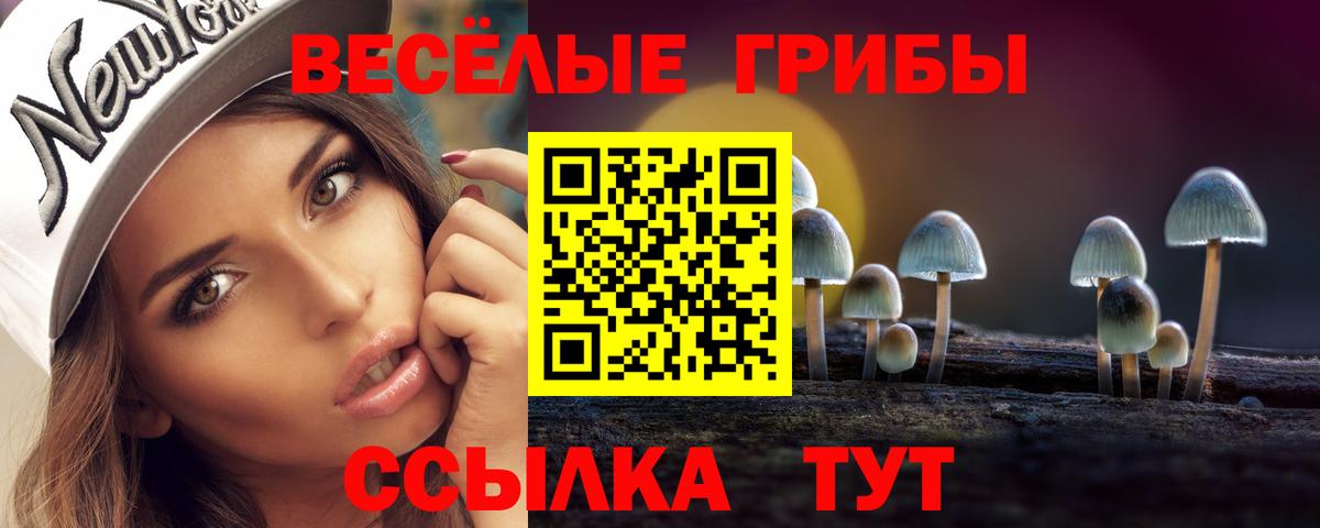 Галлюциногенные грибы GOLDEN TEACHER Медногорск