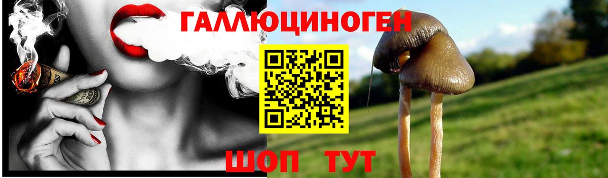 Псилоцибиновые грибы Psilocybine cubensis  где найти   Вход с VPN  Медногорск  Галлюциногенные грибы Psilocybe 